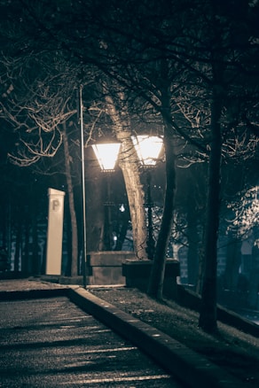 Photo 1702650338407 A07aefc3af3e?q=85&w=584&h=438&fit=crop