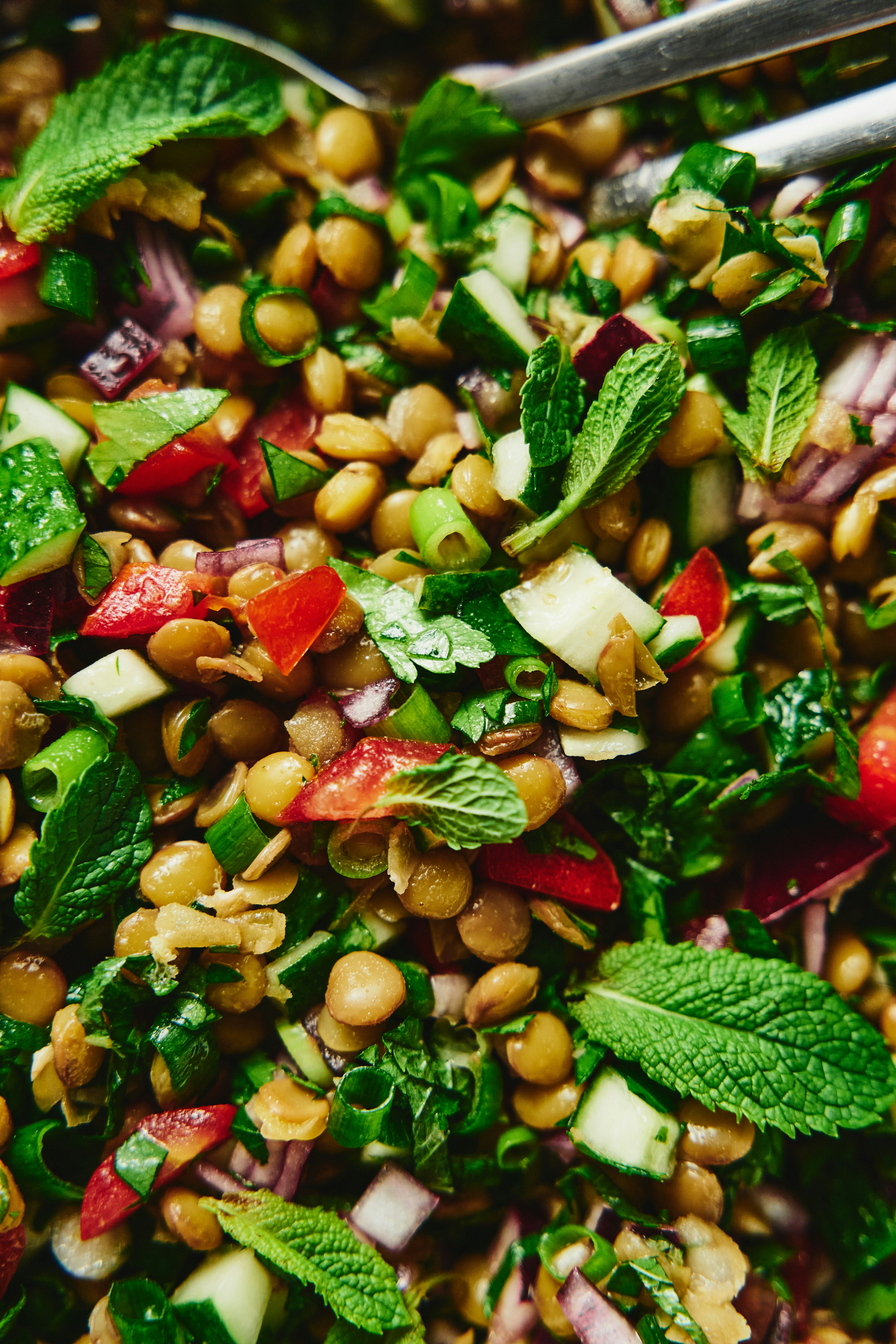 Scopri la Ricetta dell’Insalata Mediterranea con Legumi