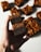 A hand is holding a piece of a dessert bar with layers of rich, dark chocolate and a golden, caramelized nut topping. In the background, several more identical pieces are placed on a surface.