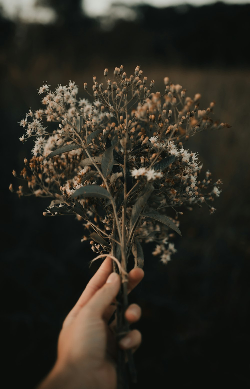 a person holding a bunch of flowers in their hand