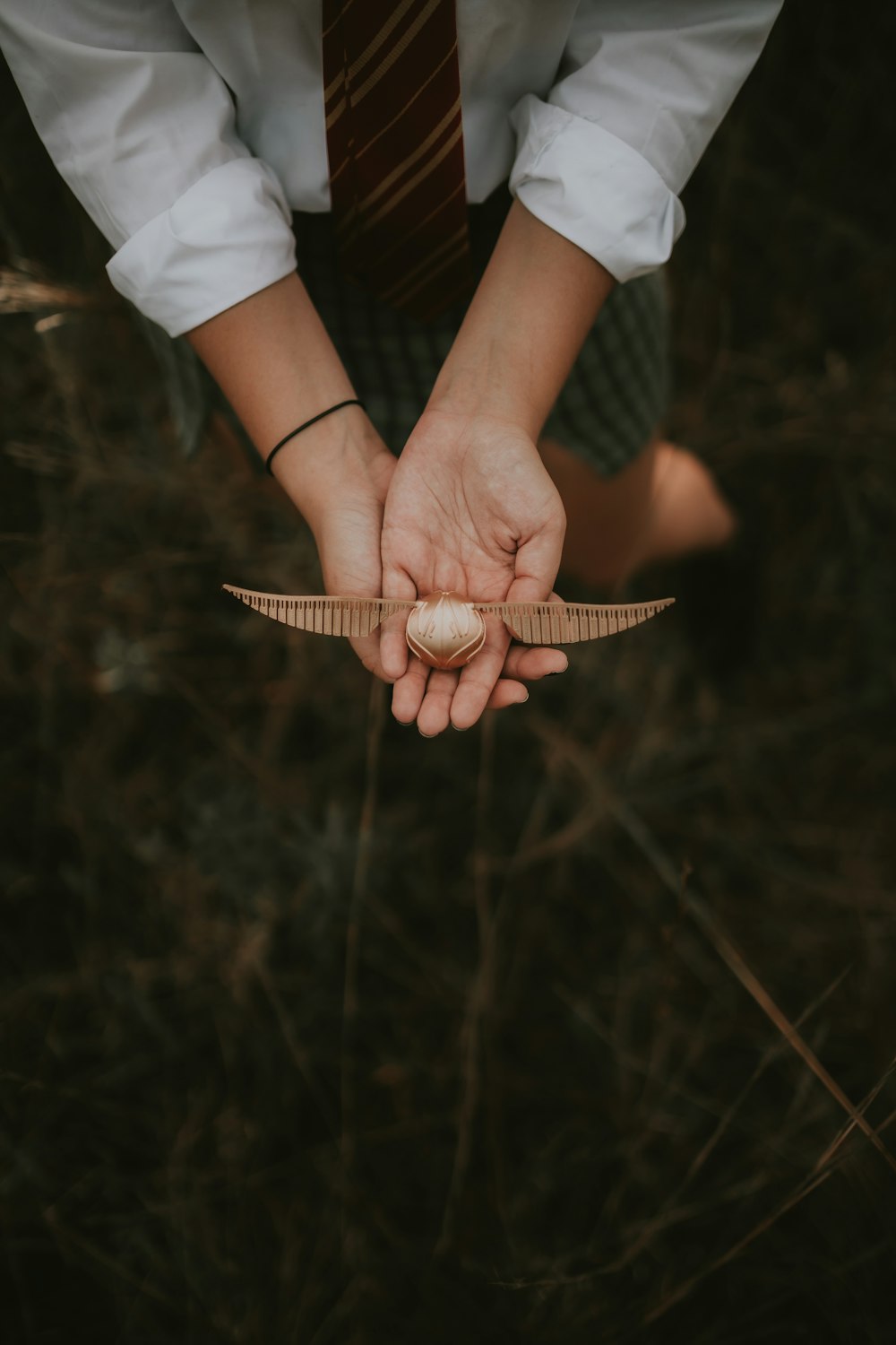 a person holding a baseball in their hands