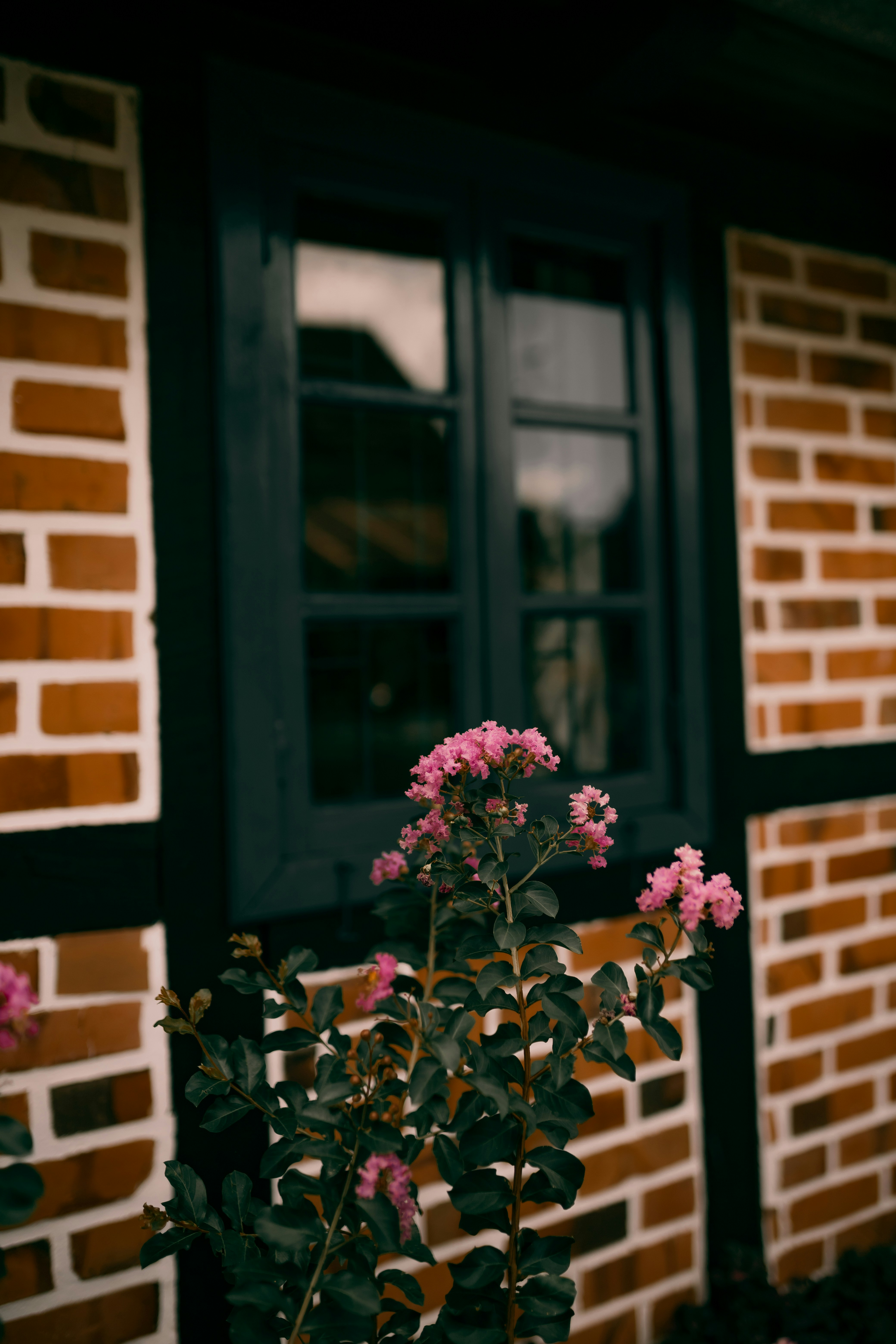 Photo by alexandermassph