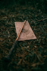 A wooden wand lies across an old map, surrounded by grass and leaves. The map has an intricate design, hinting at a whimsical or magical theme. The scene has an outdoor setting, with earthy textures.