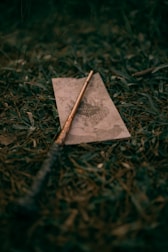 A wooden wand lies across an old map, surrounded by grass and leaves. The map has an intricate design, hinting at a whimsical or magical theme. The scene has an outdoor setting, with earthy textures.