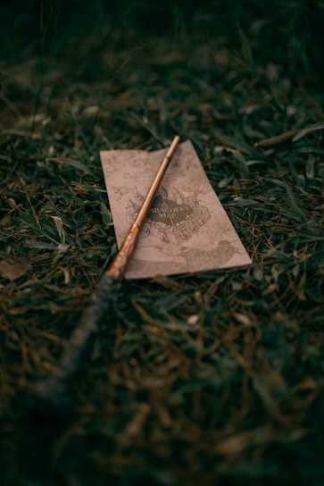 A wooden wand lies across an old map, surrounded by grass and leaves. The map has an intricate design, hinting at a whimsical or magical theme. The scene has an outdoor setting, with earthy textures.