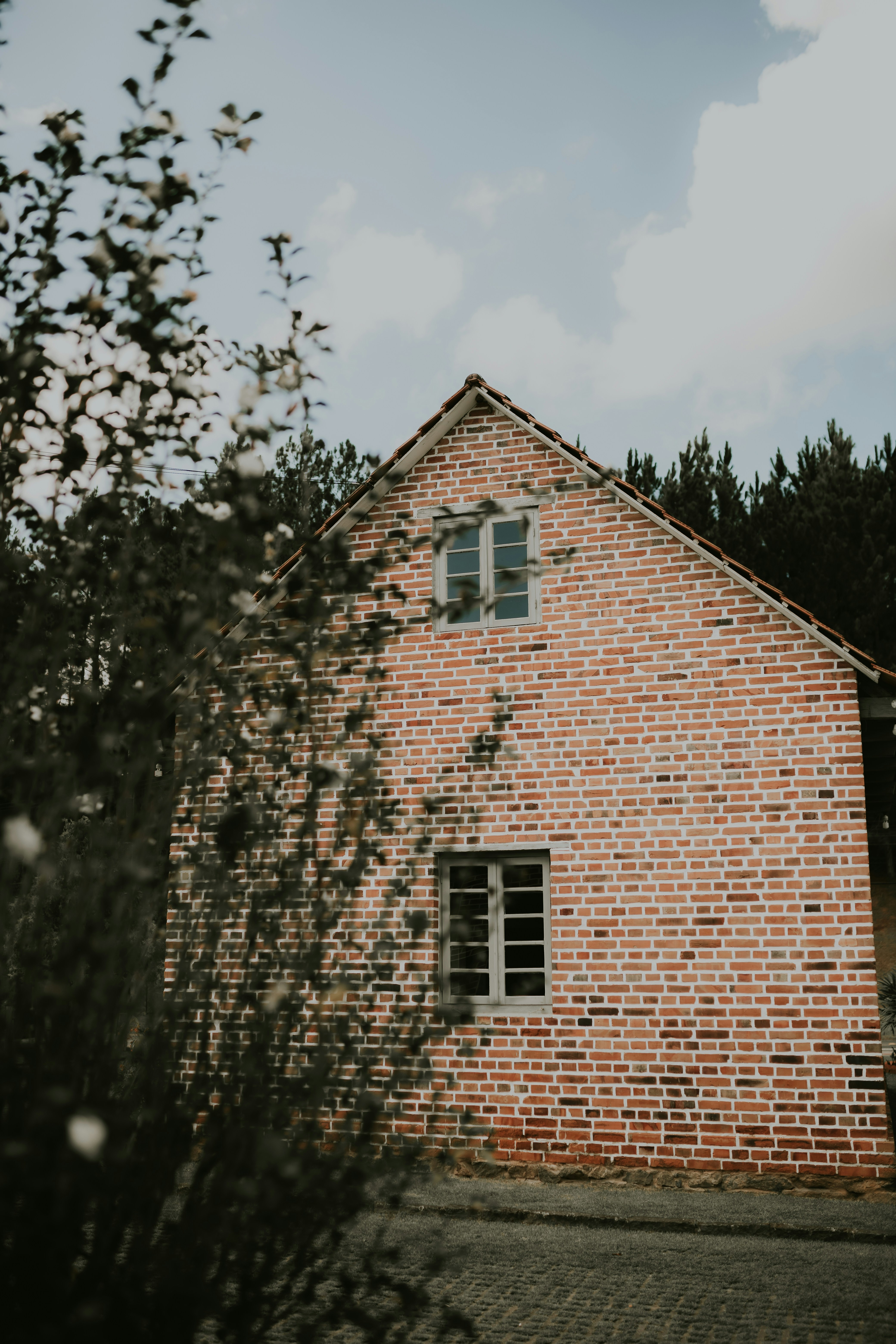 Photo by alexandermassph