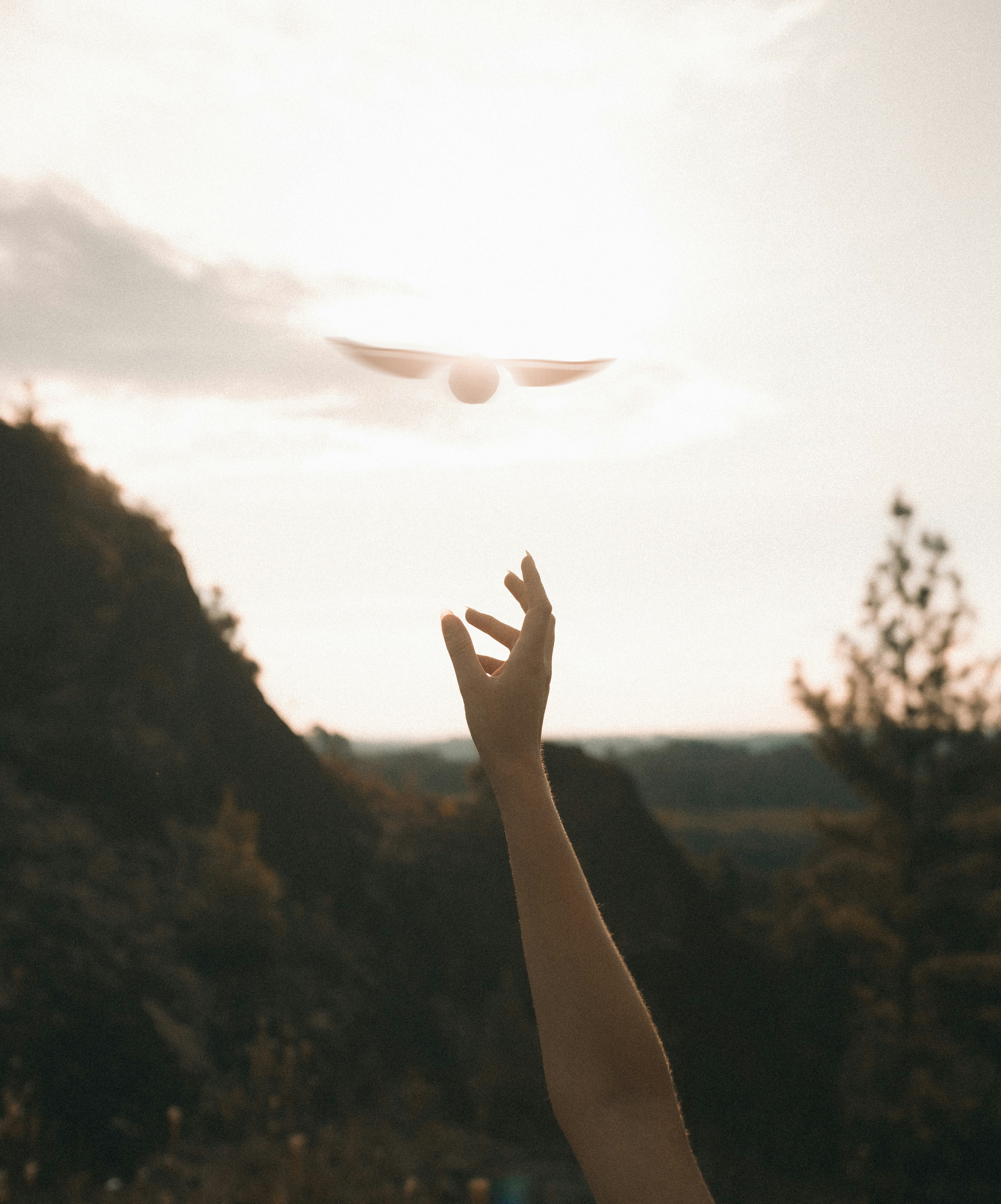 A person reaching for a flying object in the sky photo – Free Nature ...