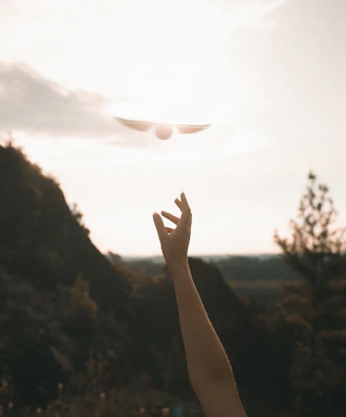 A glowing celestial hand reaching out towards a shimmering starry sky.