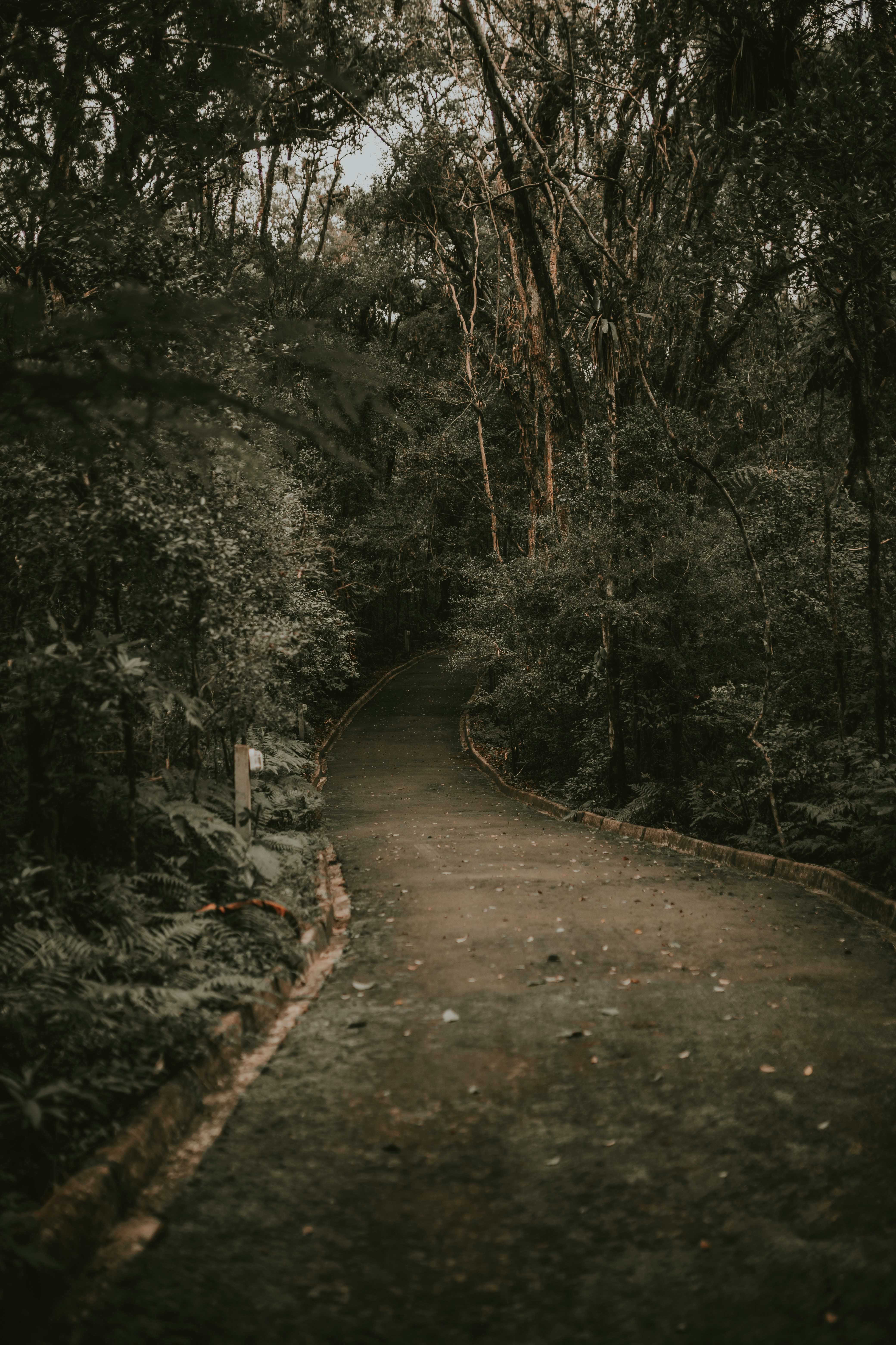 Photo by alexandermassph