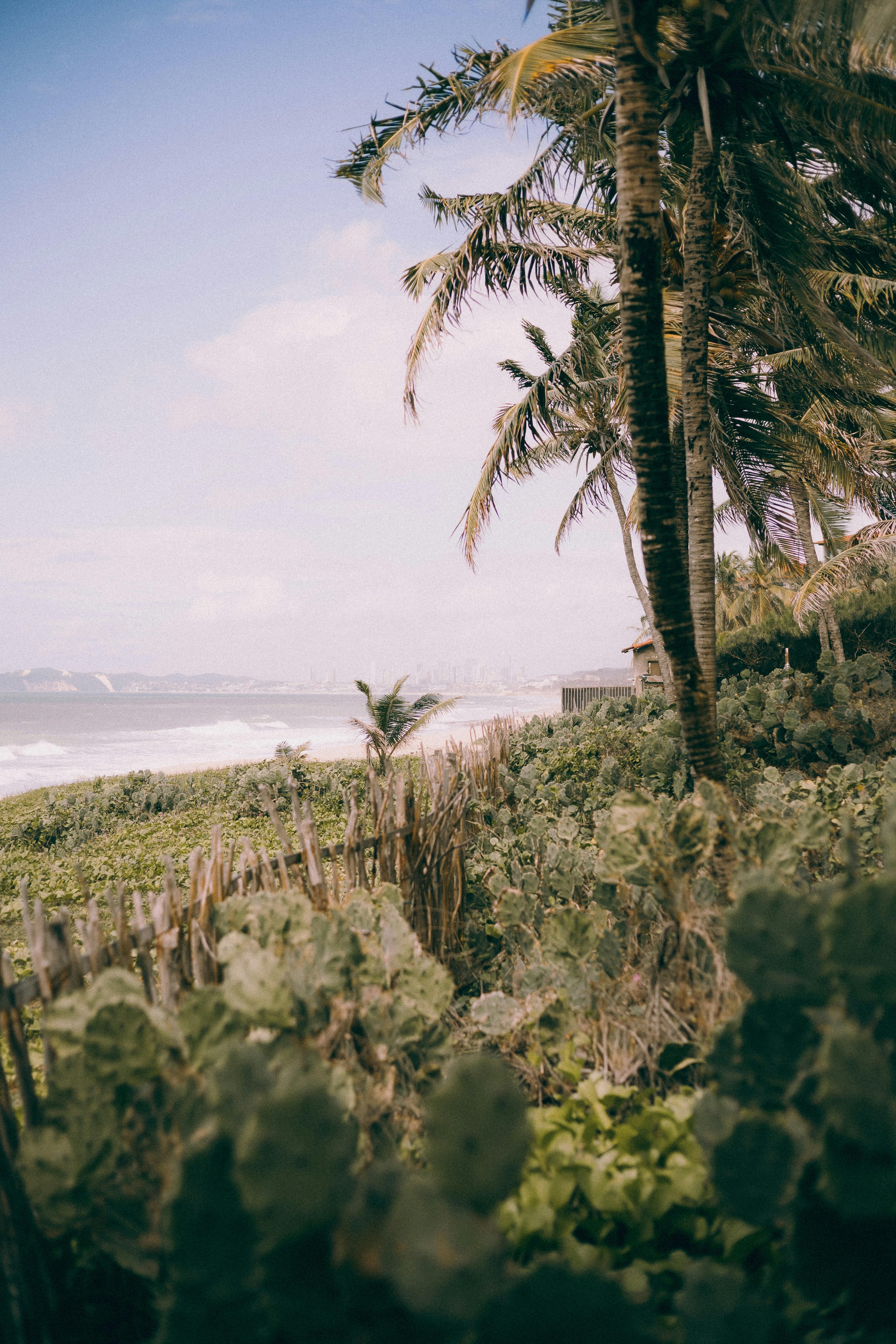 Photo by alexandermassph