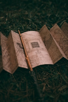 An old, folded parchment map with detailed markings lies open on grass. A slender, wooden wand rests atop the map, adding a magical or adventurous feel.
