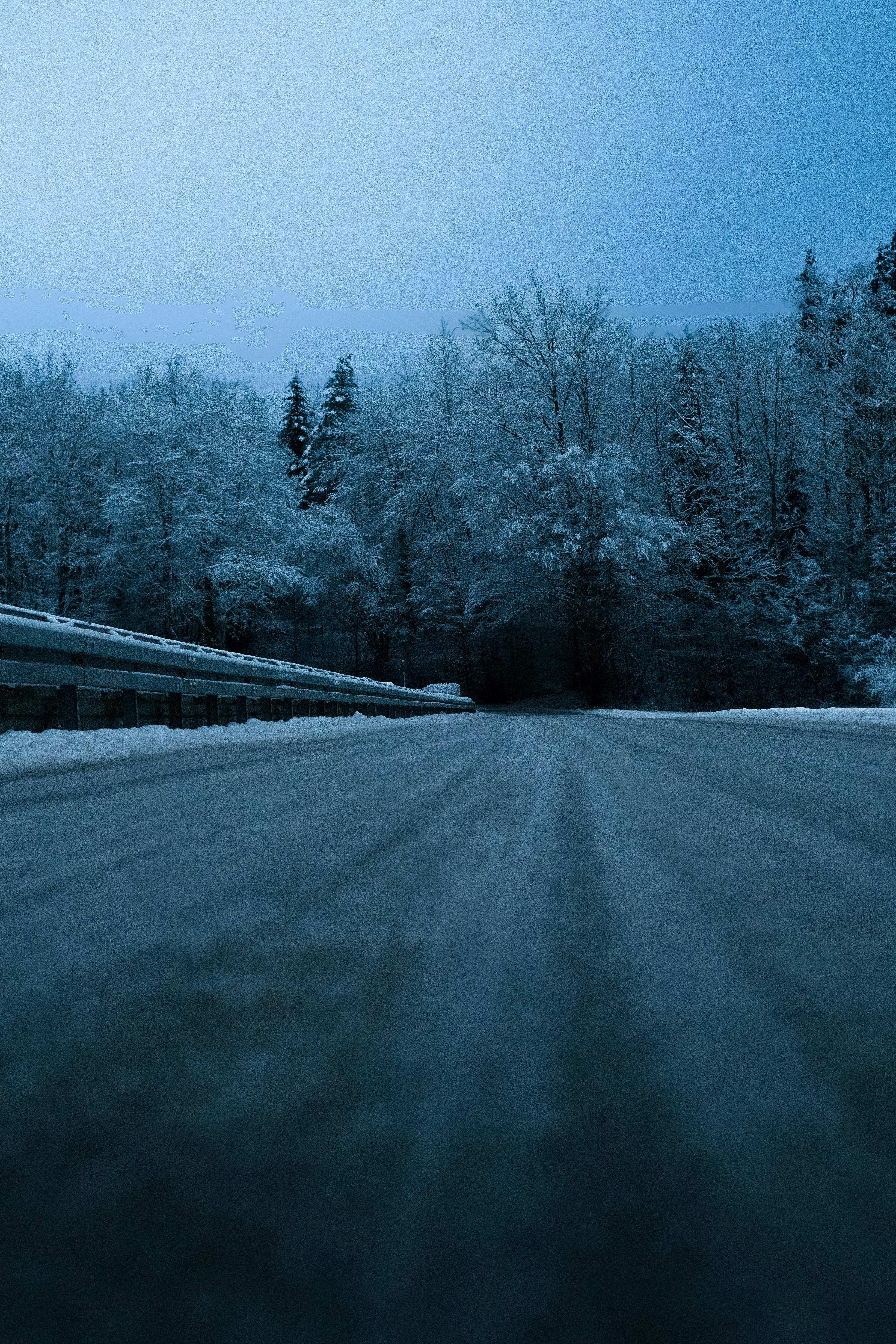 Photo by infernisvox