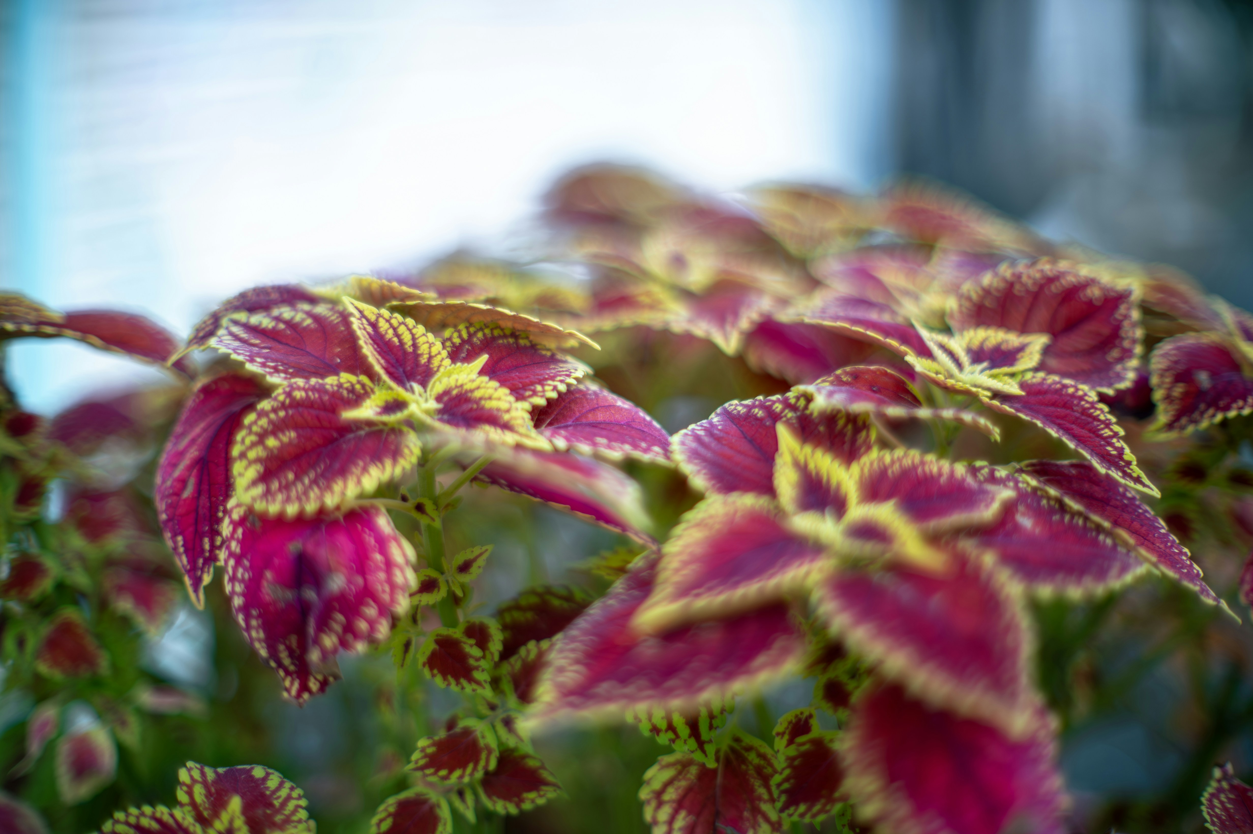 J リーグ 新 ユニフォーム