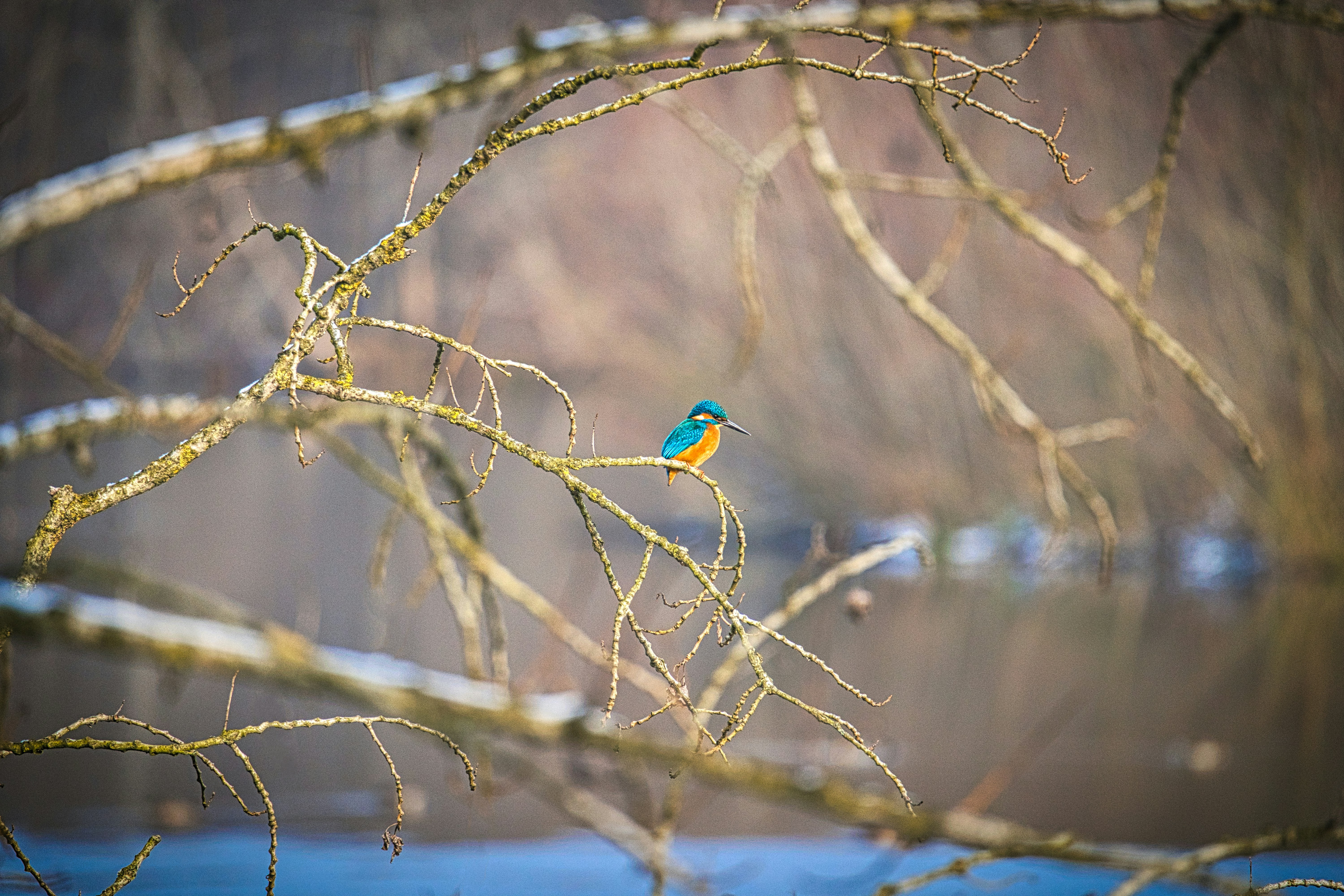 Book Your Expedition