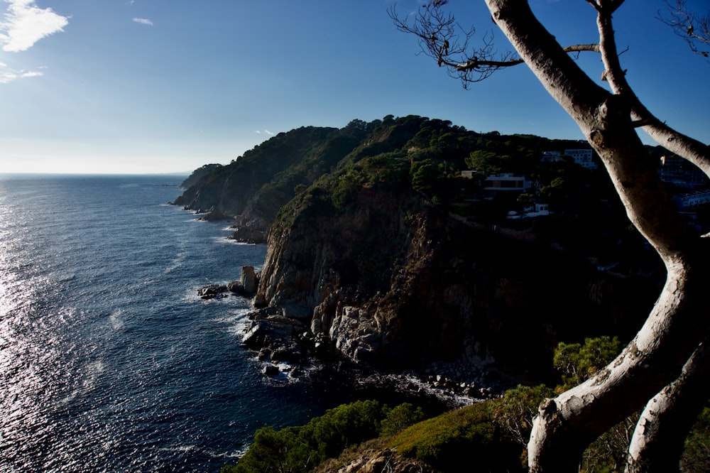 a view of the ocean from the top of a hill