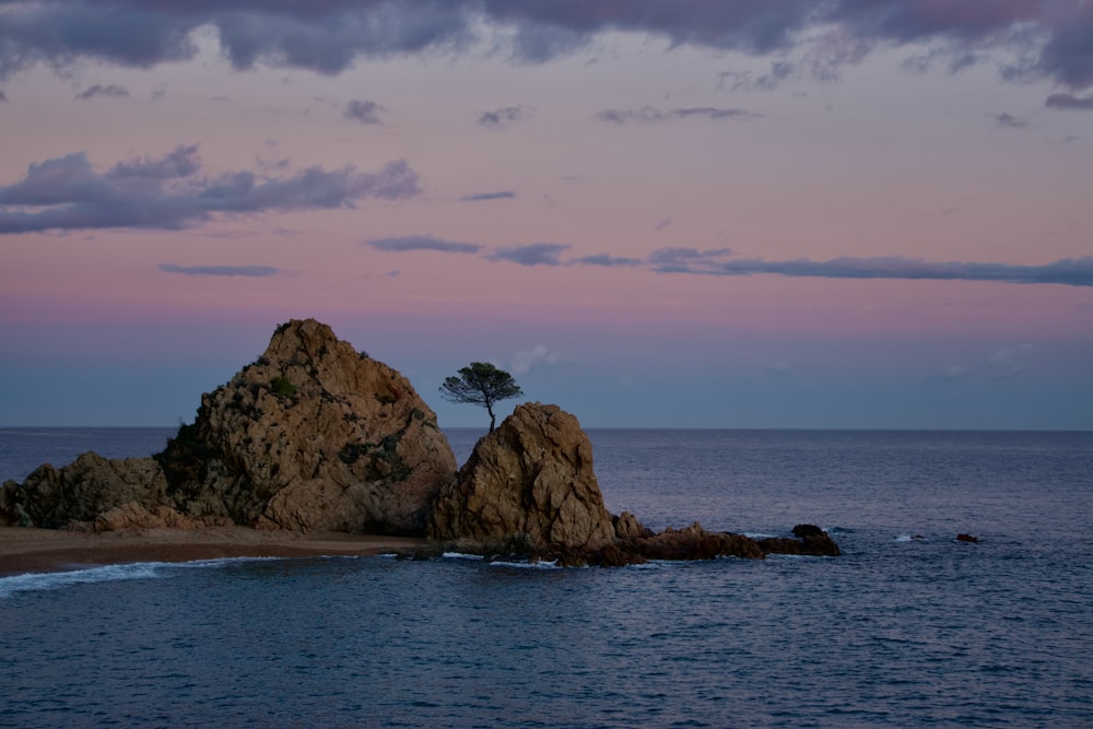 a lone tree on a rock in the middle of the ocean