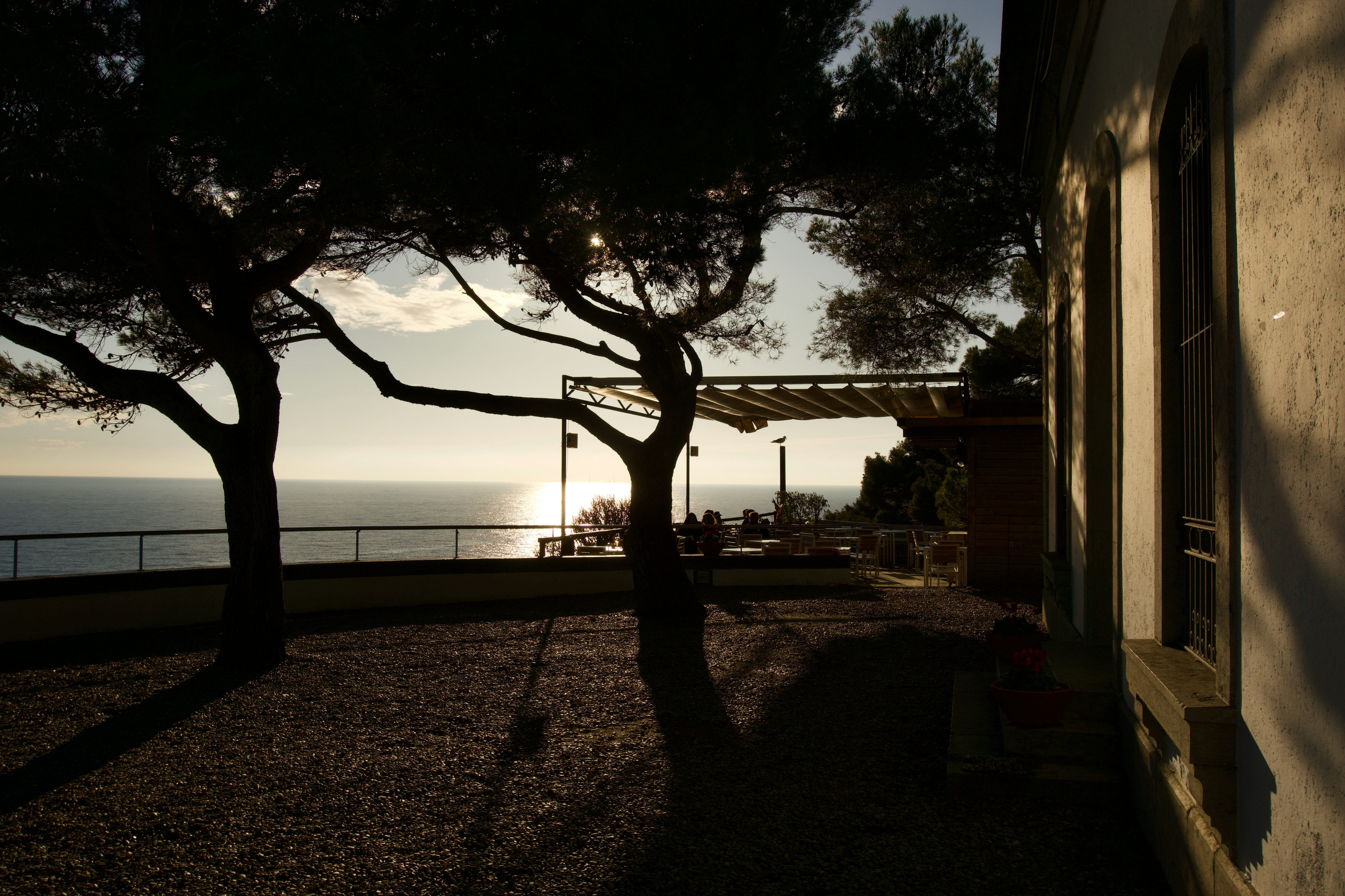 Die Sonne geht über dem Meer und den Bäumen unter