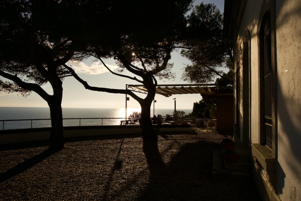 the sun is setting over the ocean and trees