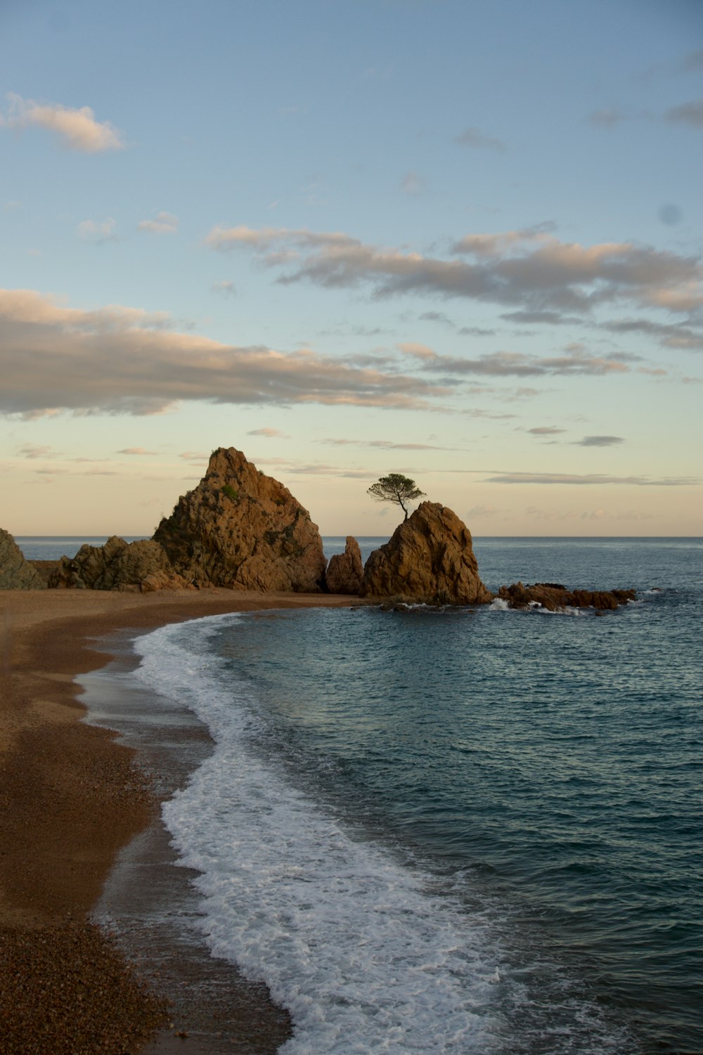 a lone tree sitting on top of a rock near the ocean