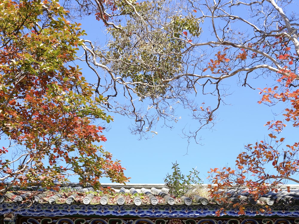 a view of the top of a building through some trees