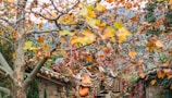 A serene autumnal scene featuring a canopy of trees with branches full of orange and yellow leaves. In the background, there is a rustic structure adorned with various natural decorations, including bundles of dried leaves and red accents. The overall setting suggests a harmonious blend of nature and human-crafted elements, evoking a sense of tranquility and earthiness.