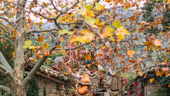 A serene autumnal scene featuring a canopy of trees with branches full of orange and yellow leaves. In the background, there is a rustic structure adorned with various natural decorations, including bundles of dried leaves and red accents. The overall setting suggests a harmonious blend of nature and human-crafted elements, evoking a sense of tranquility and earthiness.