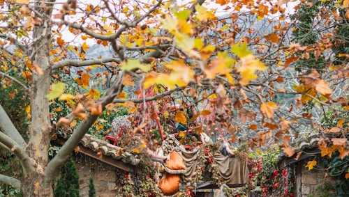 A serene autumnal scene featuring a canopy of trees with branches full of orange and yellow leaves. In the background, there is a rustic structure adorned with various natural decorations, including bundles of dried leaves and red accents. The overall setting suggests a harmonious blend of nature and human-crafted elements, evoking a sense of tranquility and earthiness.