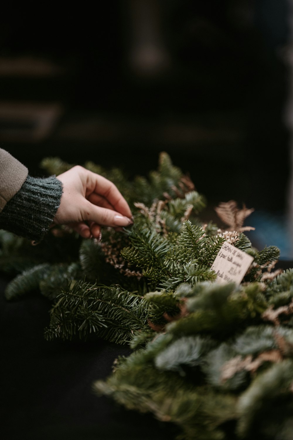 a person placing a tag on a christmas tree