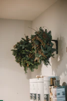 Finished packaging products ready for delivery, surrounded by plants and natural decor.