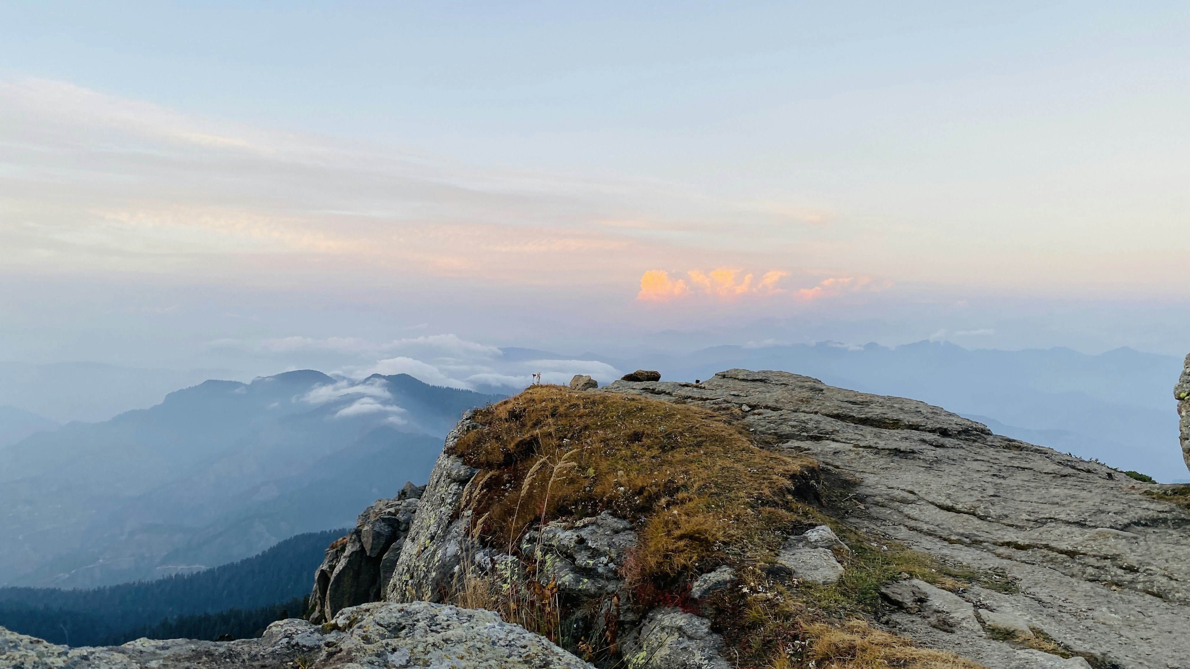 Photo by naturebyneha