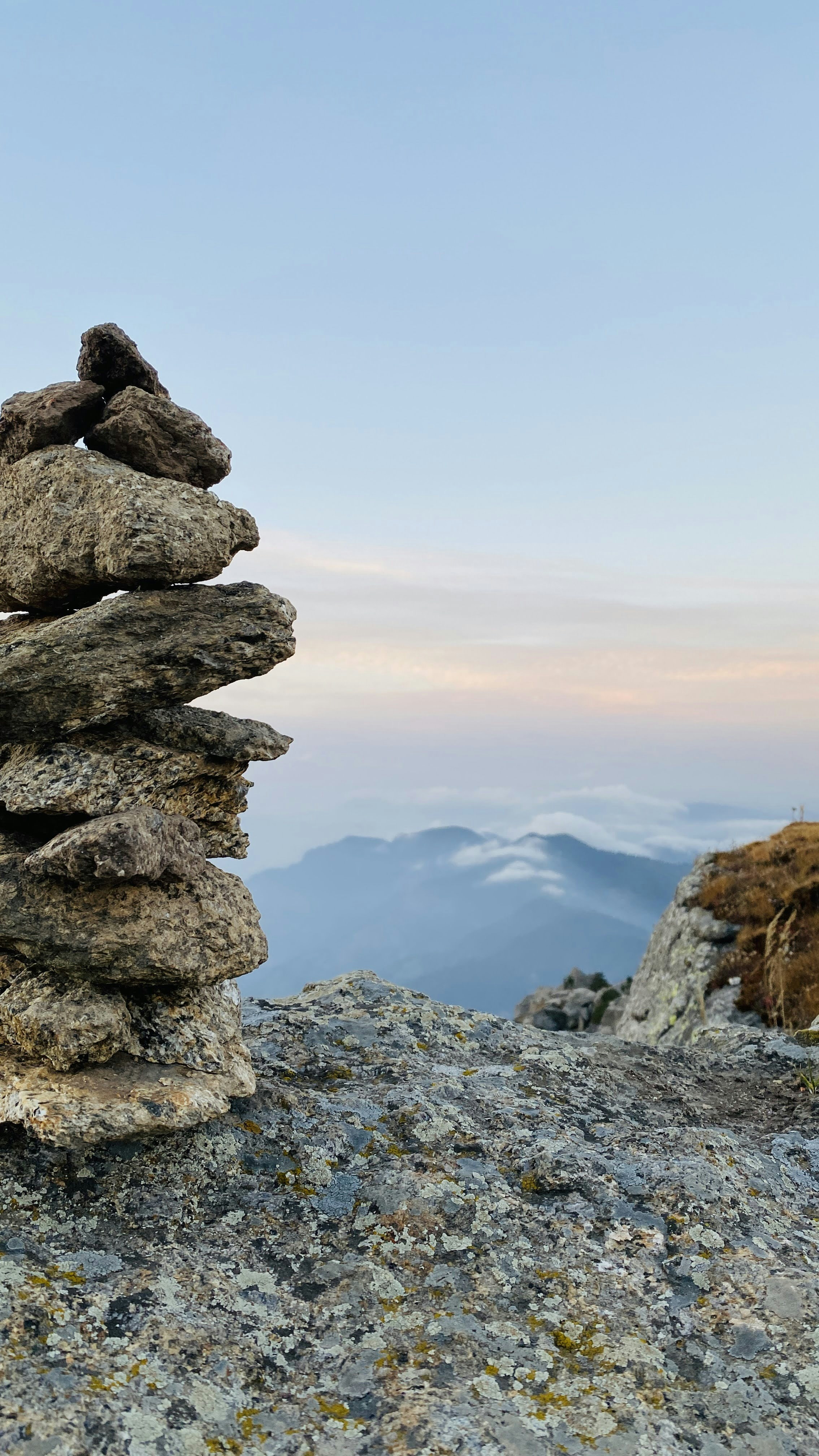 Photo by naturebyneha