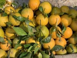 A pile of ripe oranges with vibrant yellow and orange colors, surrounded by lush green leaves. The fruit appears fresh and is displayed in an inviting manner.
