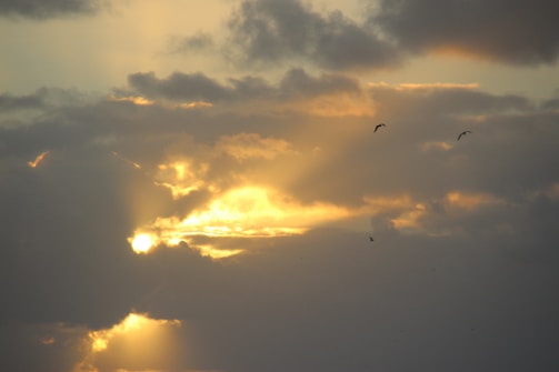 Sunlight filtering through clouds with white doves flying in the distance.