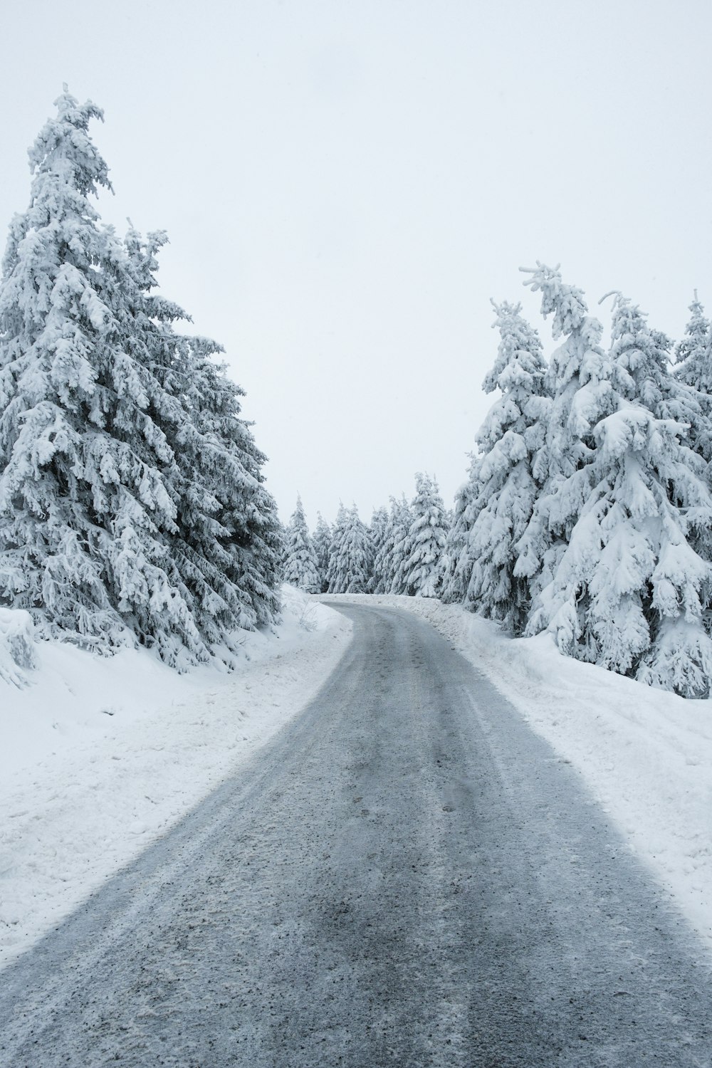 a snow covered road surrounded by snow covered trees
