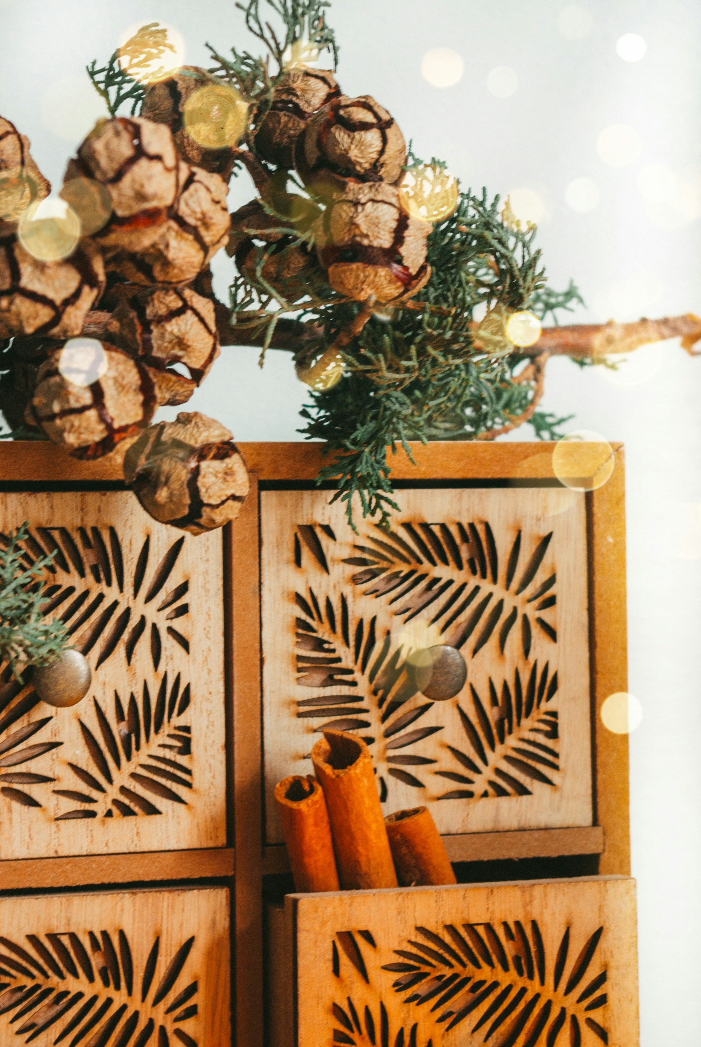 Photo by moonmoons_days