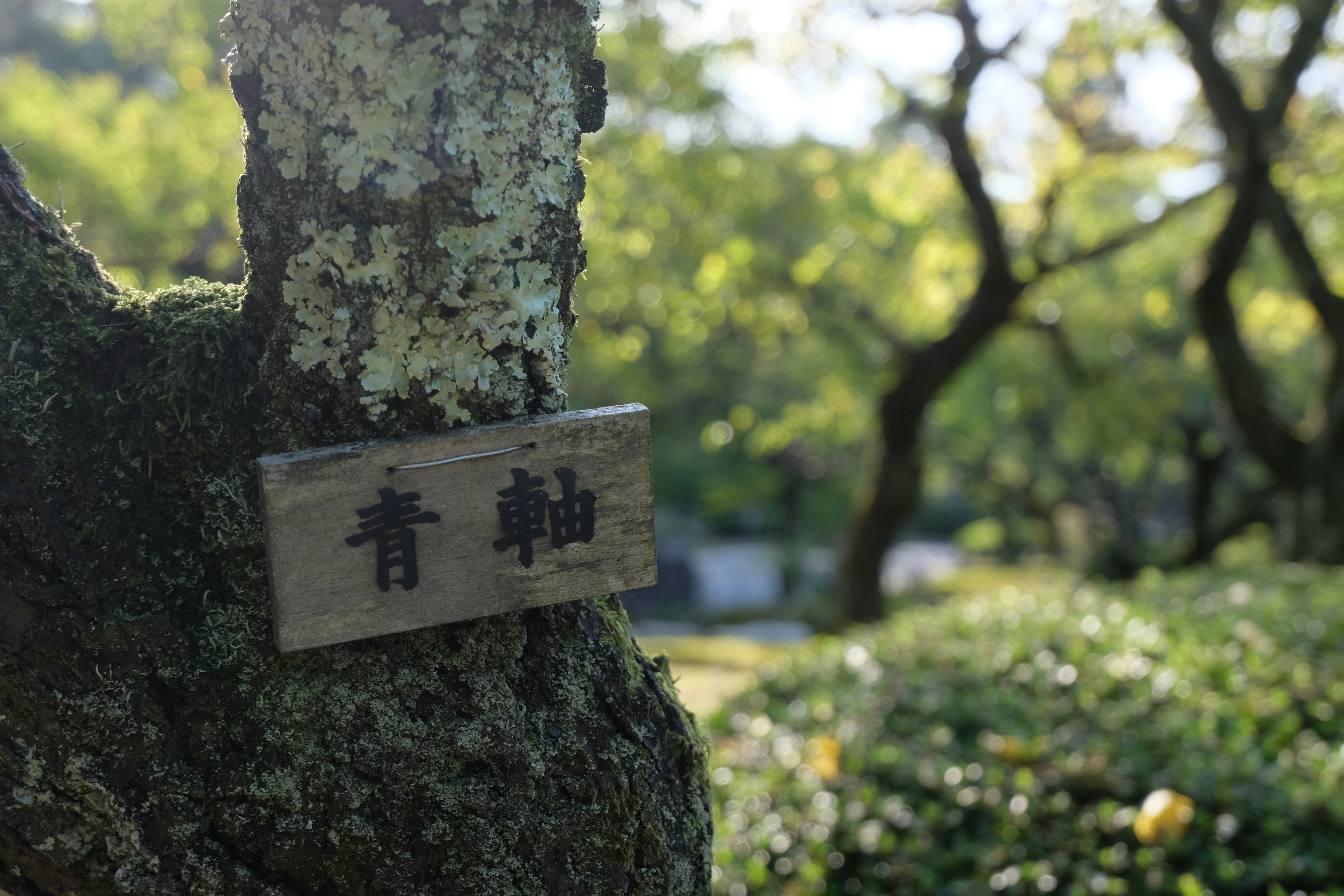 ishikawa