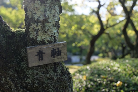 A close-up of a tree trunk covered in moss and lichen, with an attached wooden sign featuring characters. The background displays out-of-focus greenery and tree branches, suggesting a tranquil outdoor setting.
