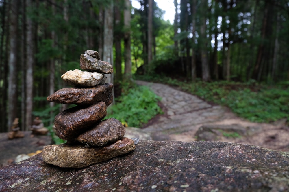 a stack of rocks sitting on top of a rock in the middle of a forest