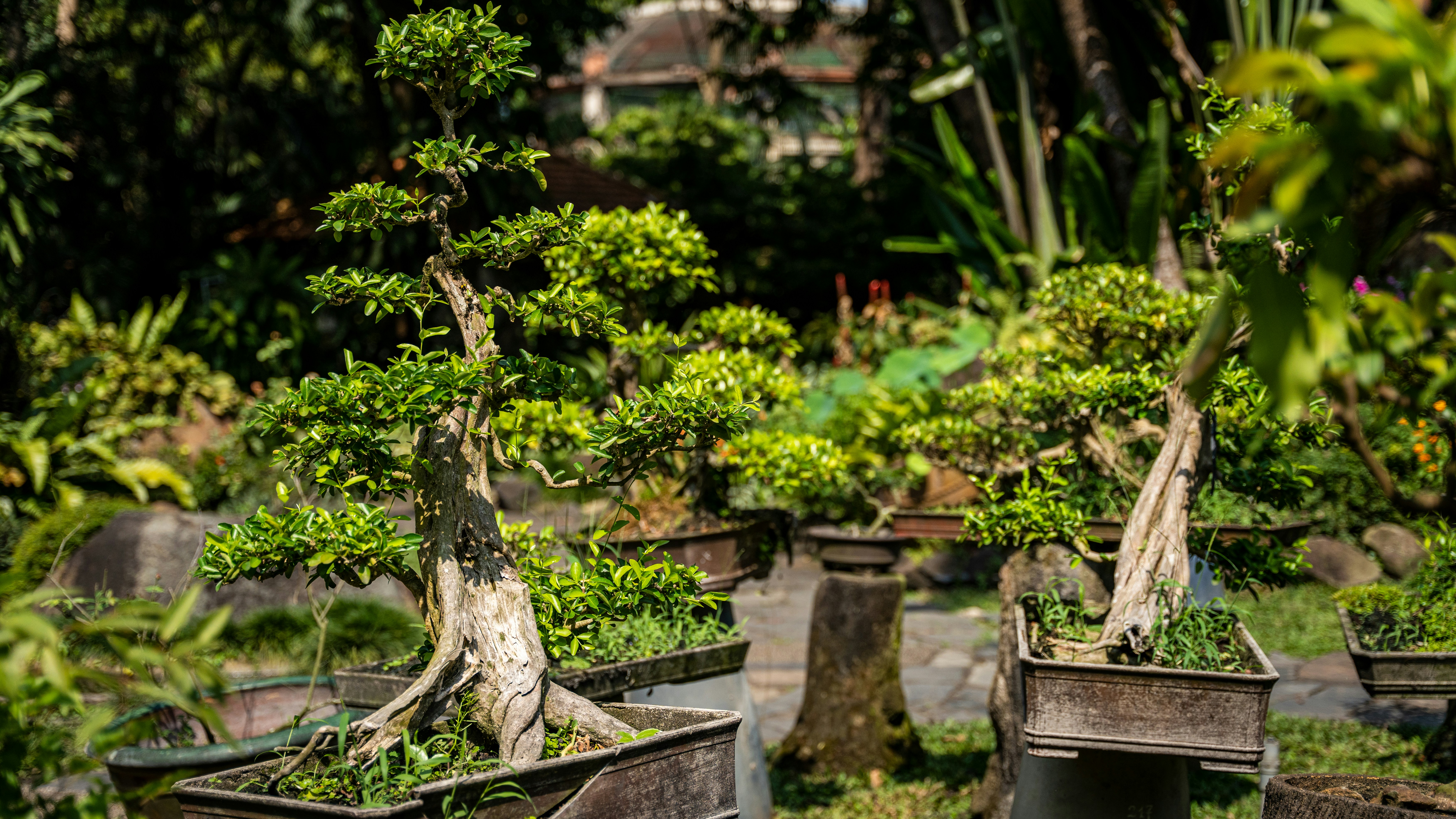 Các tòa nhà căn hộ minh họa cho thị trường cho thuê căn hộ 2 phòng ngủ tại TP.HCM, Việt Nam