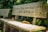A concrete bench with Vietnamese text is set in a lush, green environment. Fallen leaves are scattered around, adding a touch of autumnal color to the scene.