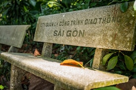 A concrete bench with Vietnamese text is set in a lush, green environment. Fallen leaves are scattered around, adding a touch of autumnal color to the scene.