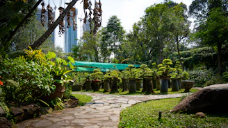 A corporate office garden featuring decorative plants and bonsai arrangements.