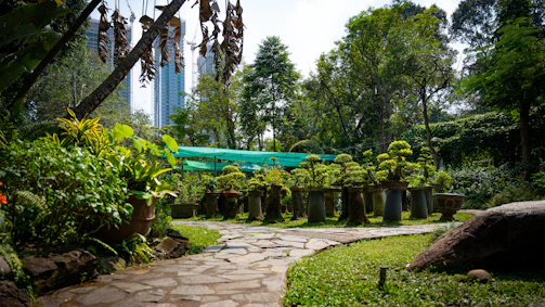 A corporate office garden featuring decorative plants and bonsai arrangements.