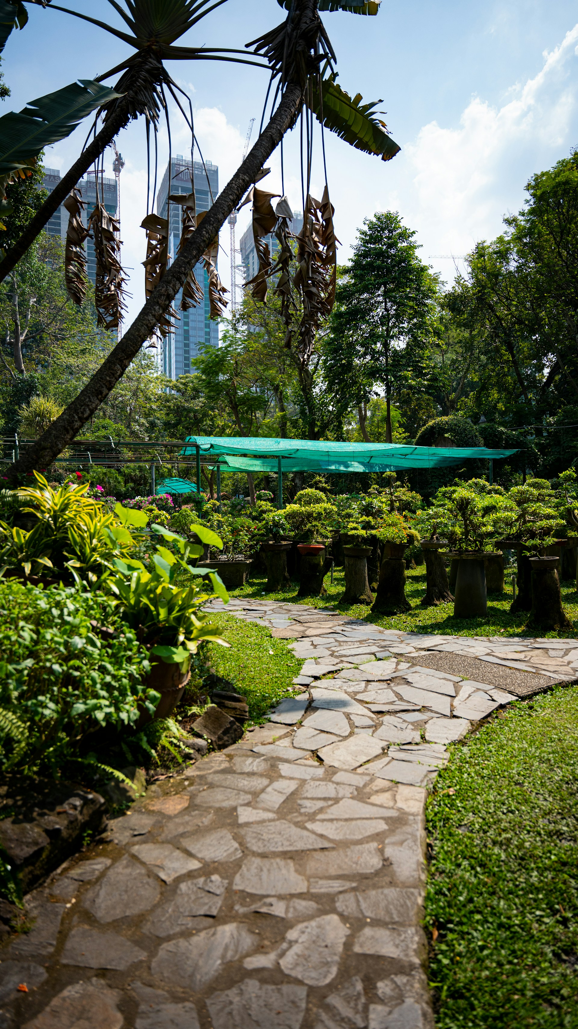 a stone path in a garden with umbrellas in the background