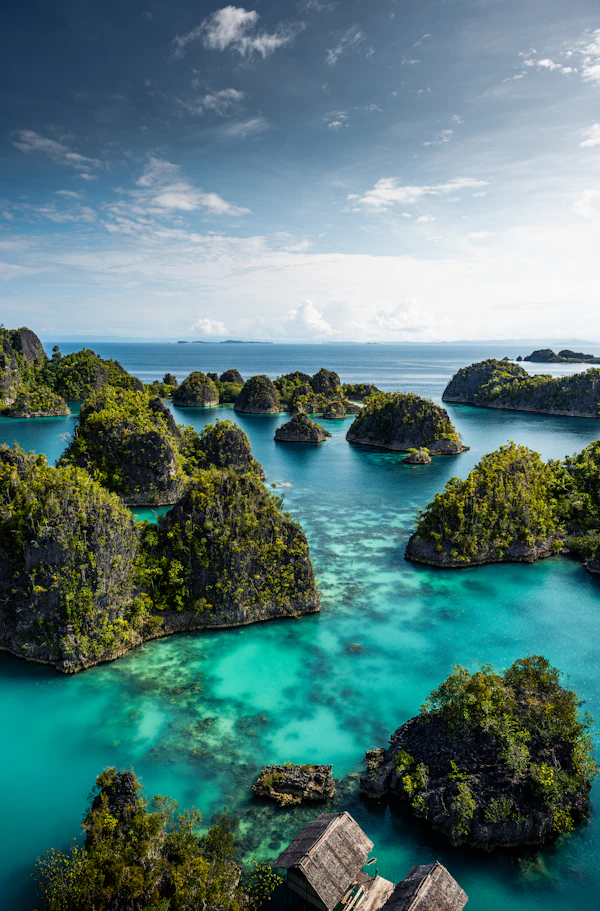 Raja Ampat, West Papua, Indonesia photo 1