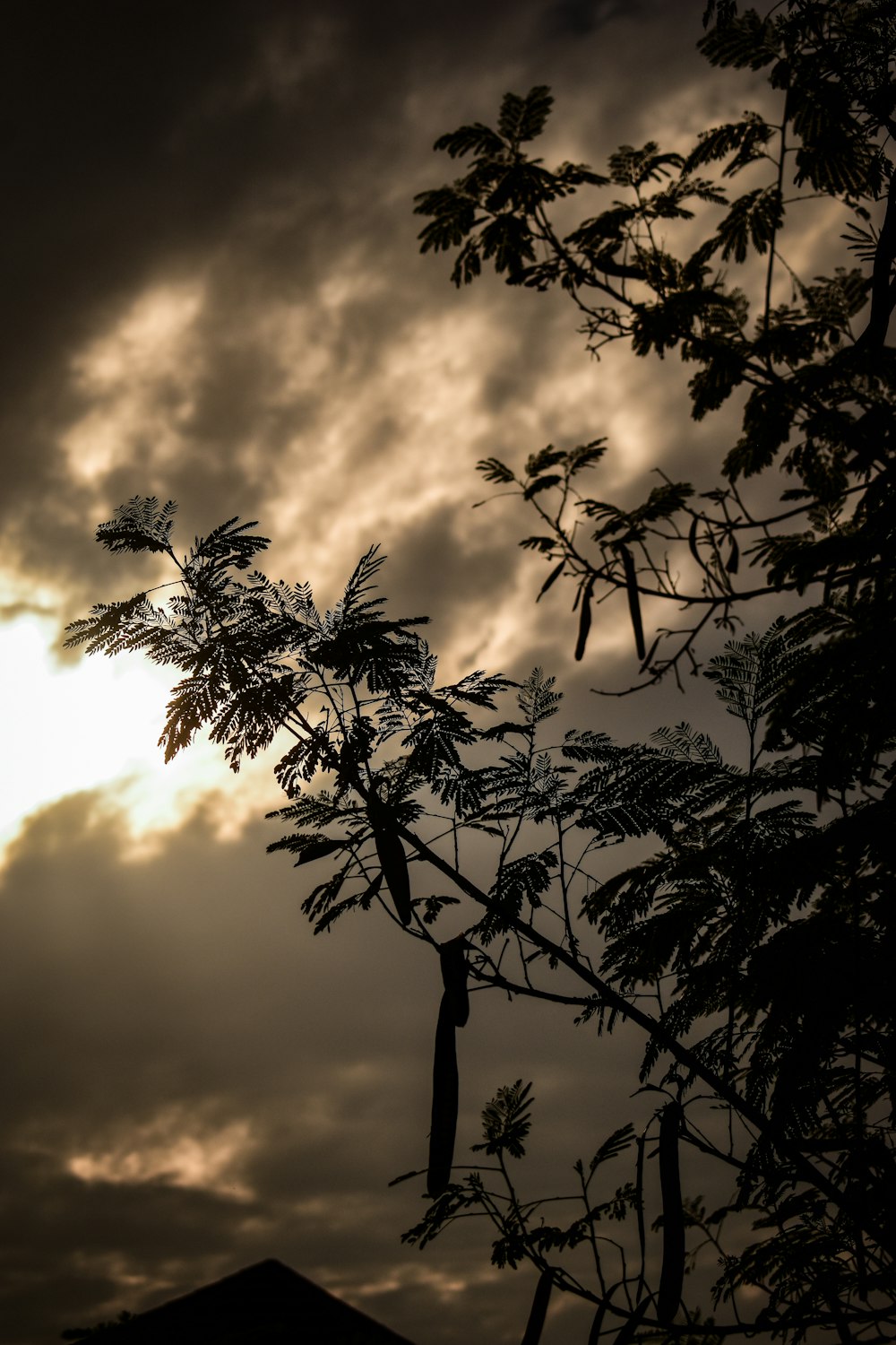 the sun is shining through the clouds behind a tree