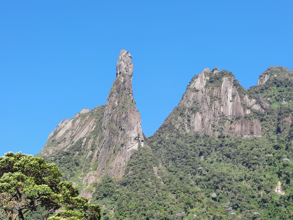 a group of mountains with trees in the foreground