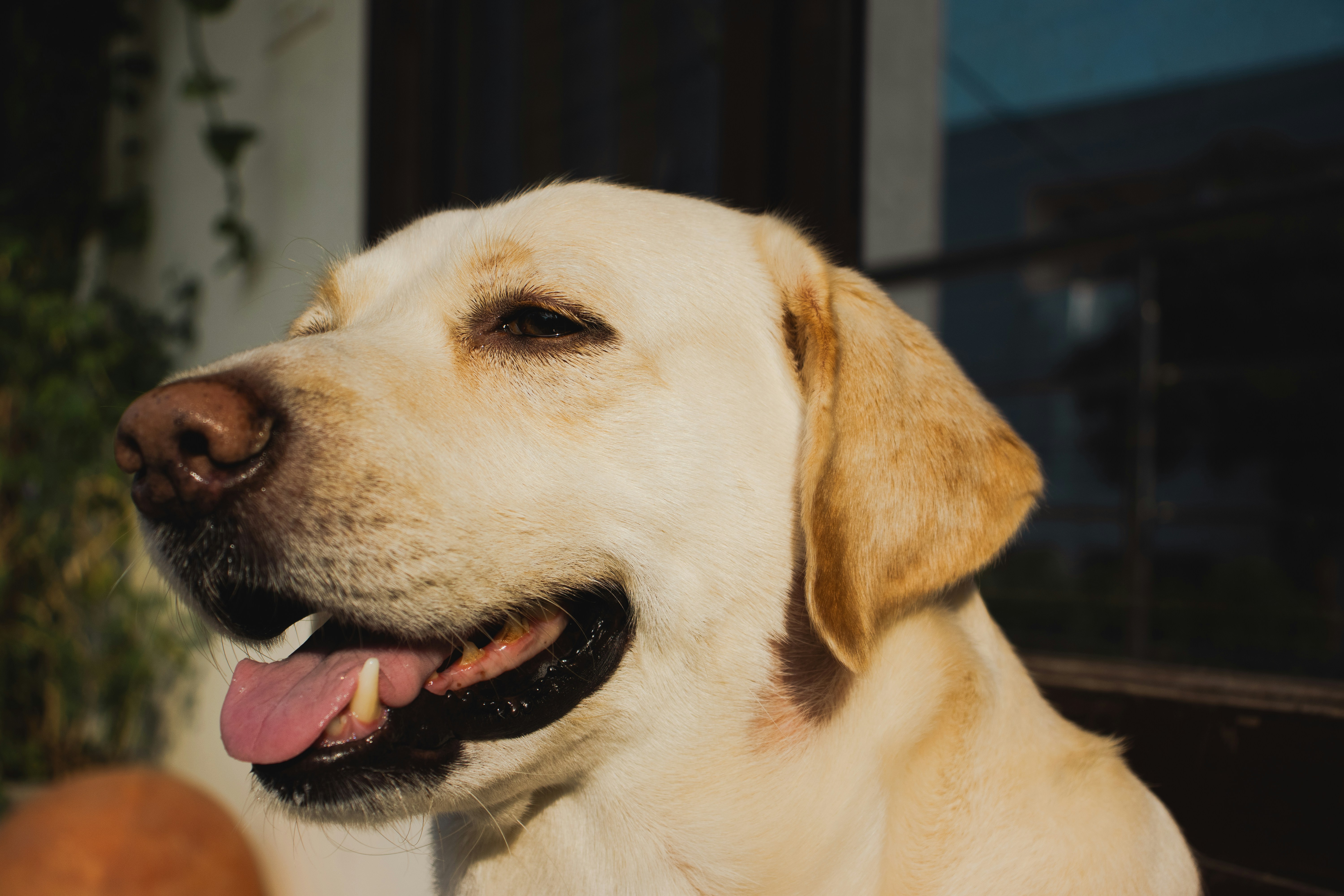 Photo by akshat_jhingran