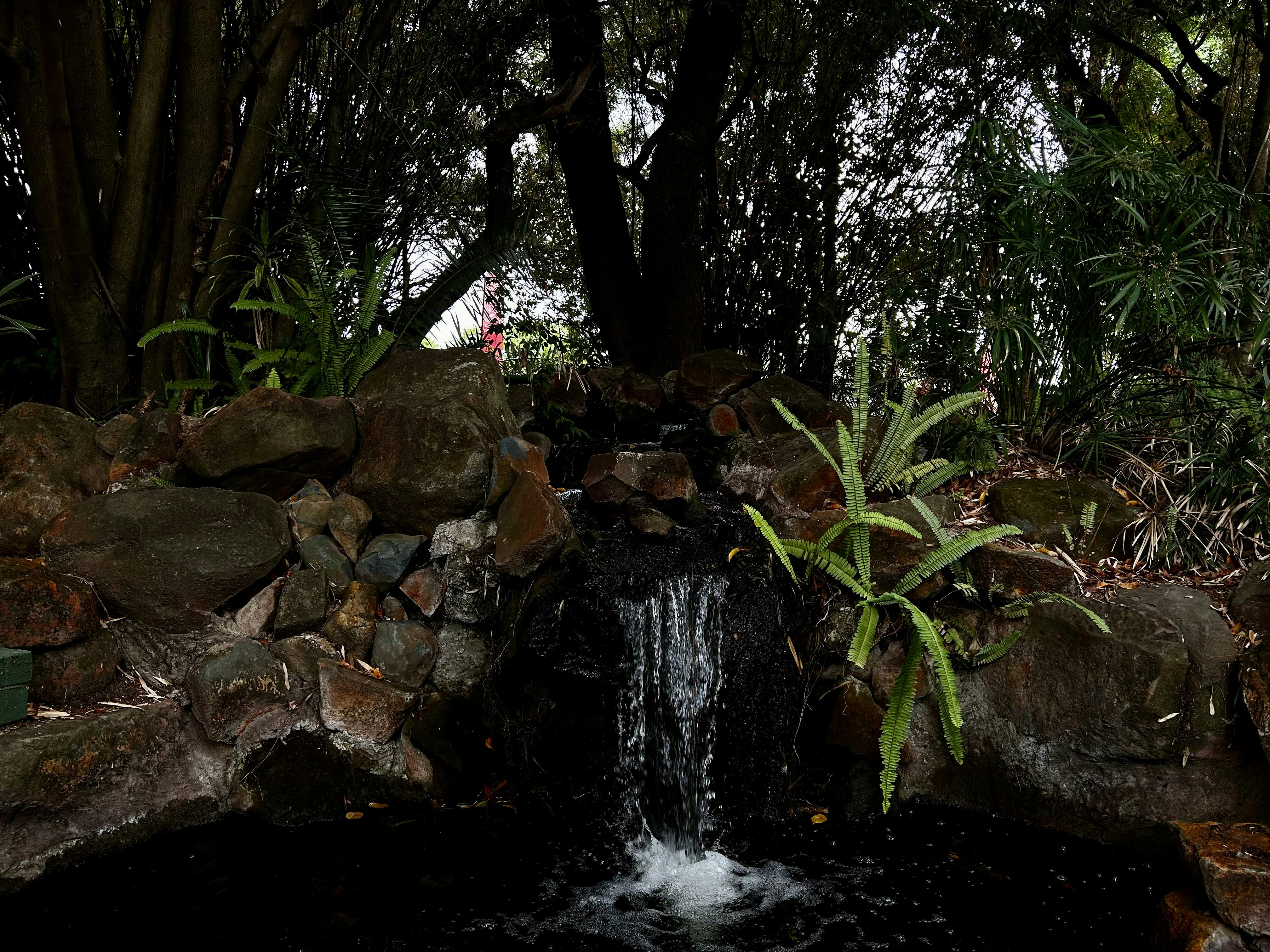 Photo by akshat_jhingran