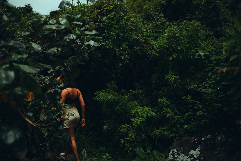 a man standing in the middle of a lush green forest